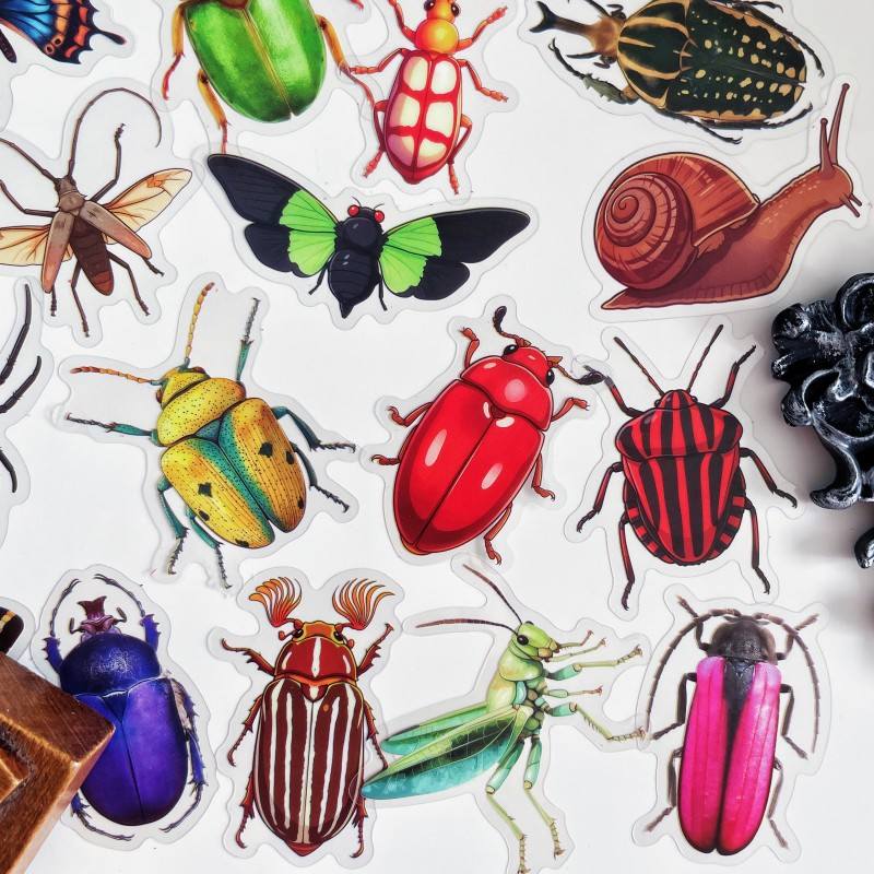 Bug Kingdom Sticker 50PCS