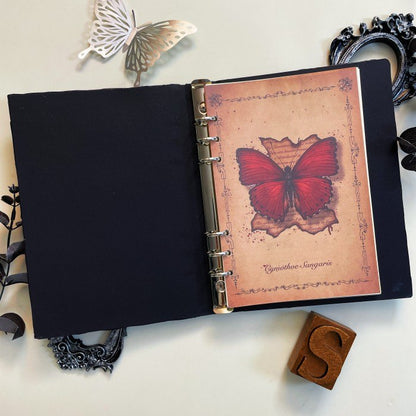 Arcane Gaze 3D Embossed Loose-Leaf Journal