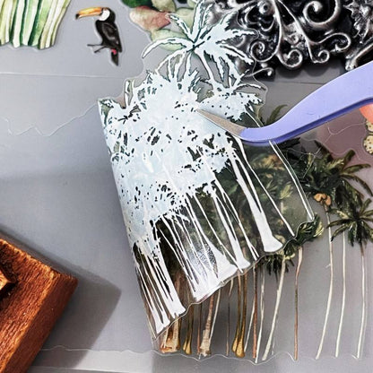 Wild Tropics PET Tape Roll | Dong Xi