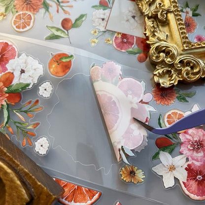 Orange Sweet PET Tape Roll | Dong Xi