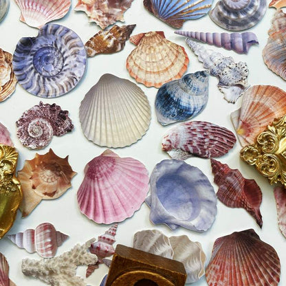 Shell Basket Sticker 60PCS