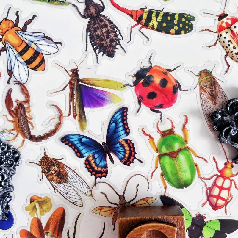 Bug Kingdom Sticker 50PCS