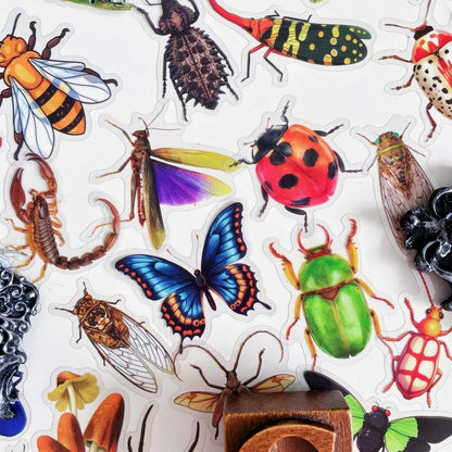Bug Kingdom Sticker 50PCS