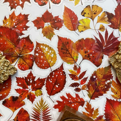 Fall Drift Sticker 56PCS