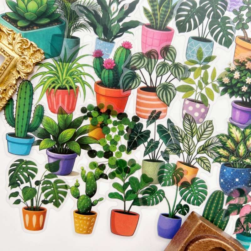 Eco Plants Sticker 50PCS