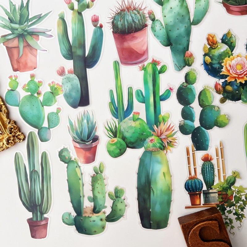 Summer Cactus Sticker 30PCS