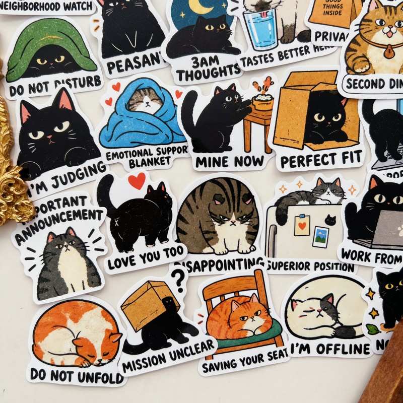 Kitten Nap Sticker 50PCS