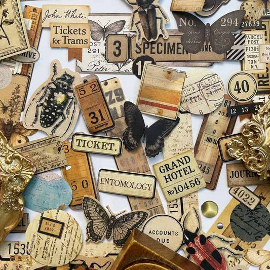 Papery Wings Sticker 60PCS