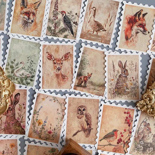 Jungle Friends Sticker 36PCS