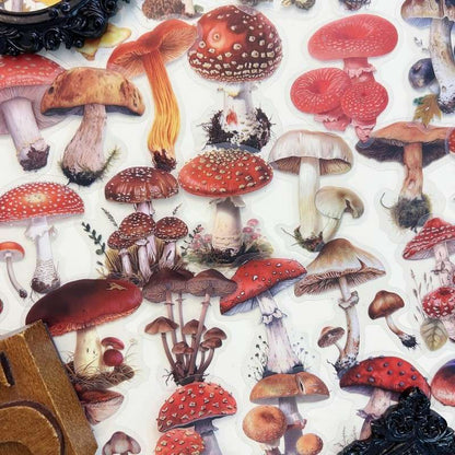 Oldwood Fungi Sticker 50PCS