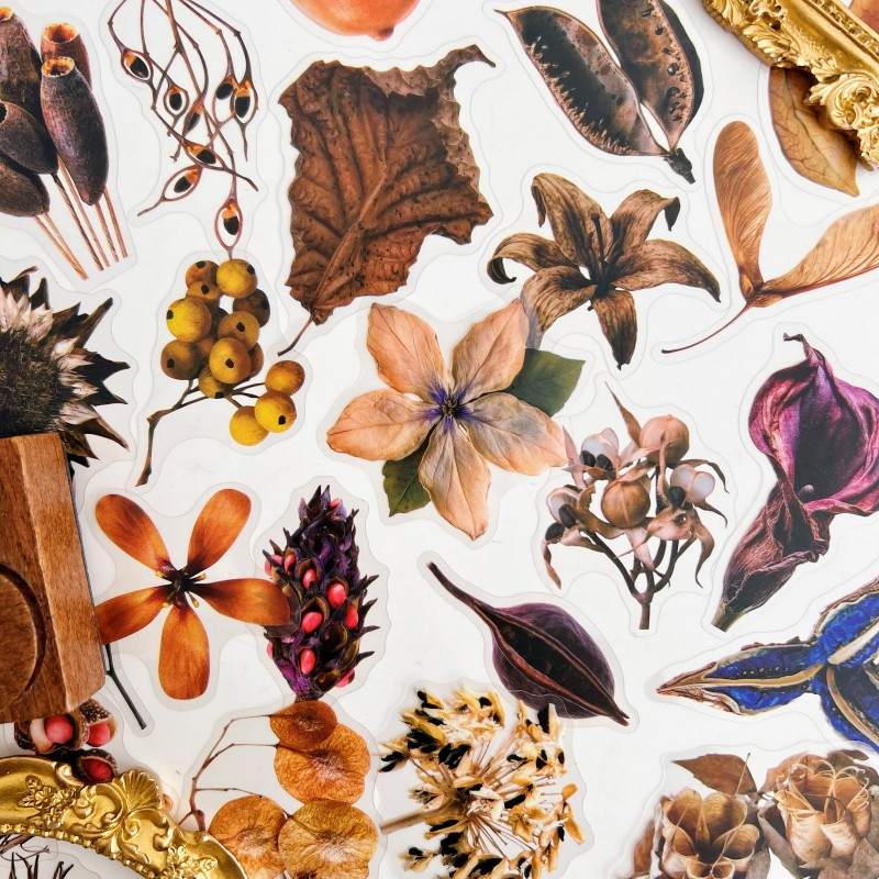 Fruit Herb Sticker 50PCS