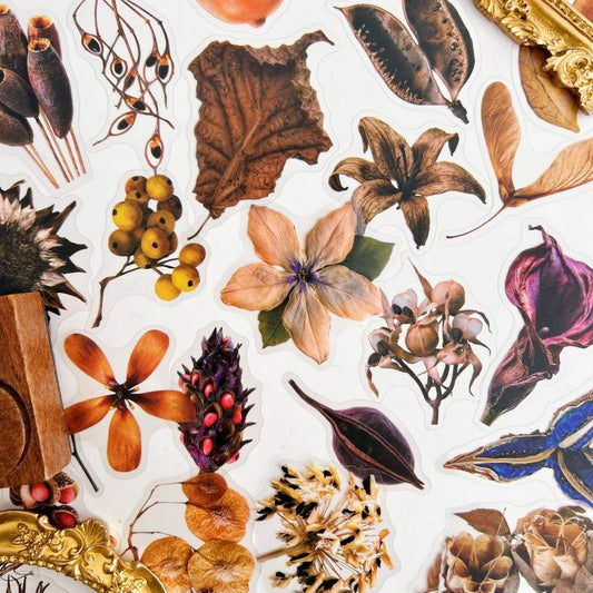 Fruit Herb Sticker 50PCS