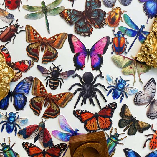 Insect Collector Sticker 100PCS