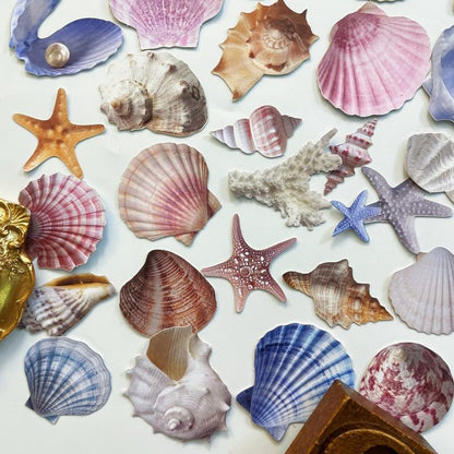 Shell Basket Sticker 60PCS