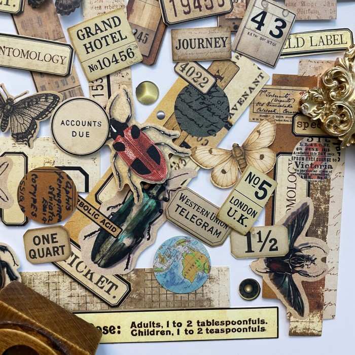 Papery Wings Sticker 60PCS