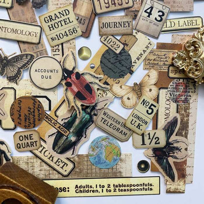 Papery Wings Sticker 60PCS