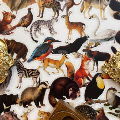 Woodland Beasts Sticker 56PCS