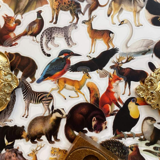 Woodland Beasts Sticker 56PCS