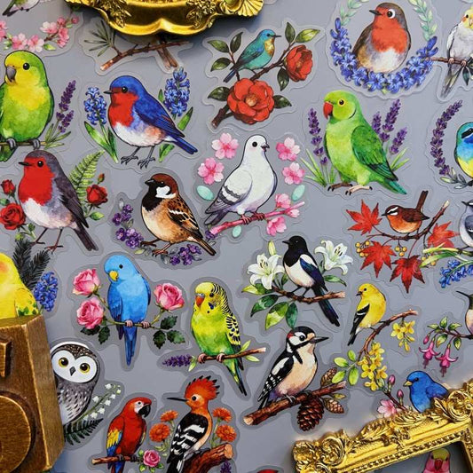 Painted Bird Sticker 56PCS
