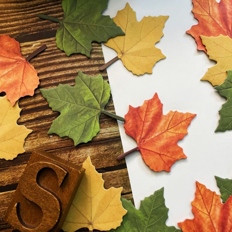 Maple Soul Sticky Notes 150PCS