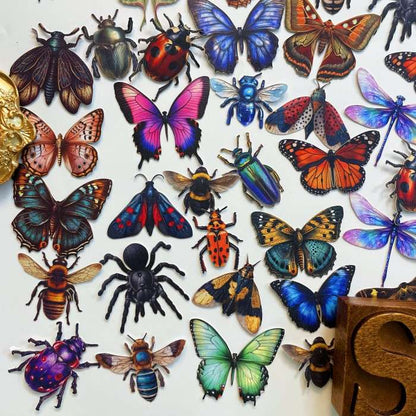 Insect Collector Sticker 100PCS