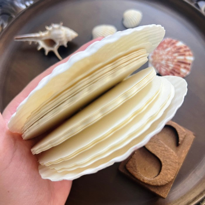 Scallop Shell Notebook