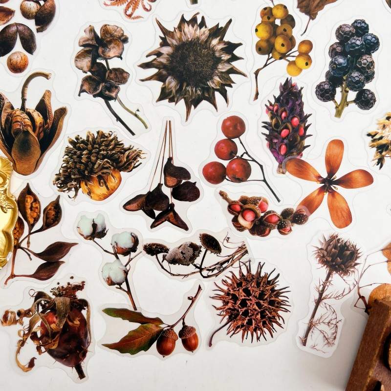 Fruit Herb Sticker 50PCS