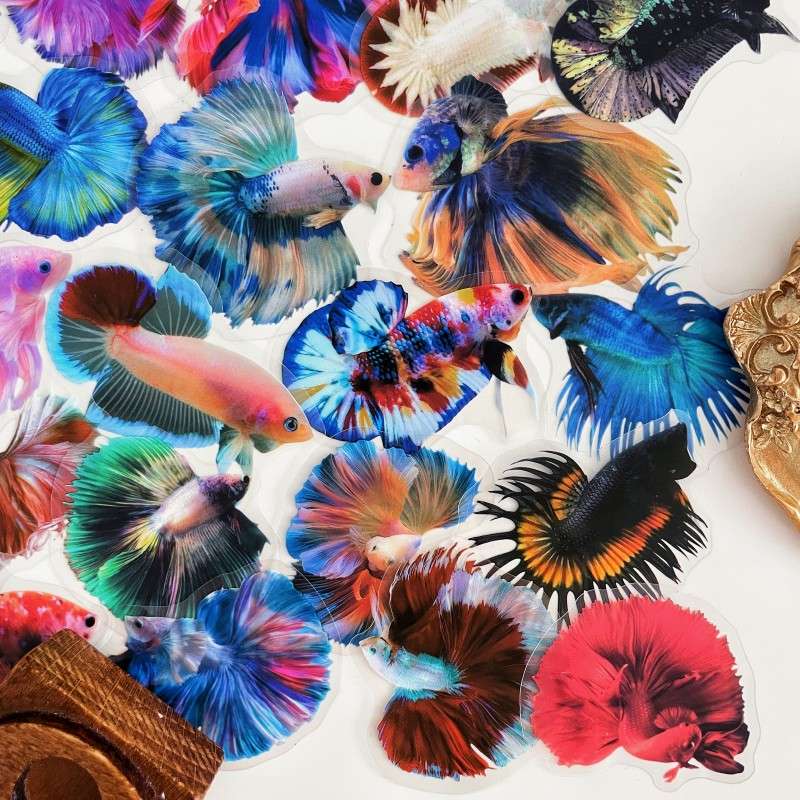 Color Betta Sticker 50PCS