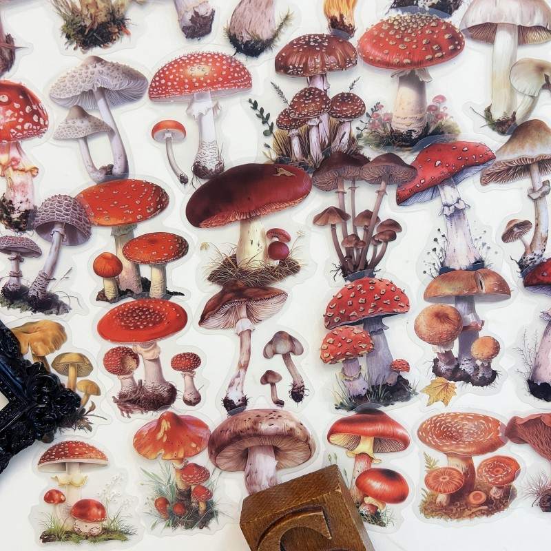 Oldwood Fungi Sticker 50PCS