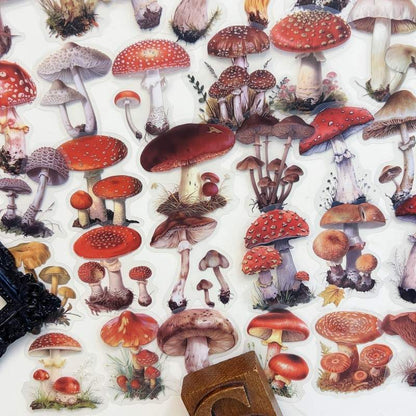 Oldwood Fungi Sticker 50PCS