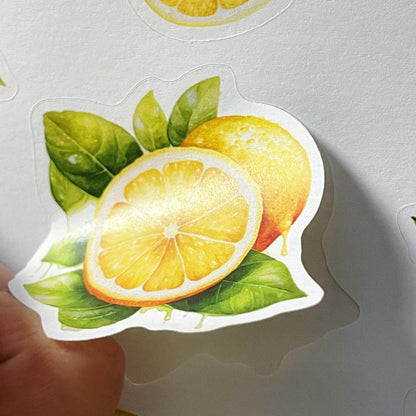 Lemon Summer Sticker Book 20Sheets