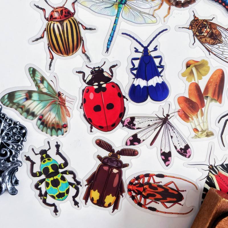 Bug Kingdom Sticker 50PCS