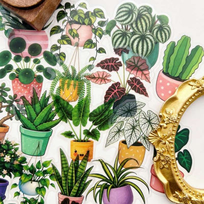 Eco Plants Sticker 50PCS