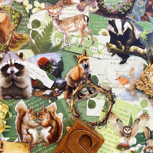 Leafy Refuge Ephemera Mystery Kit 90PCS