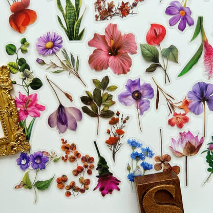 Blossom Life Sticker 50PCS
