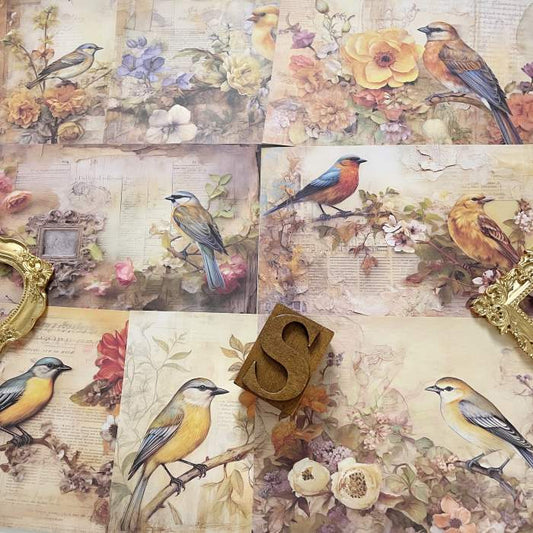 Birdsong Collage Paper