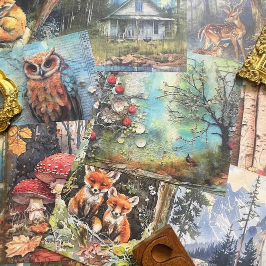 Forest Animal Collage Paper 20Sheets