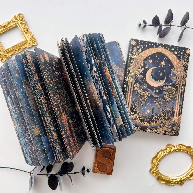 Starlit Silence Illustrated Notebook
