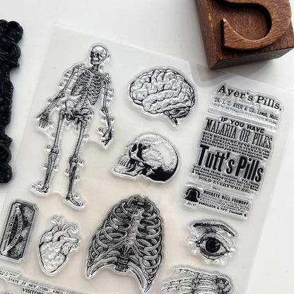 Morbid Anatomy Clear Stamp