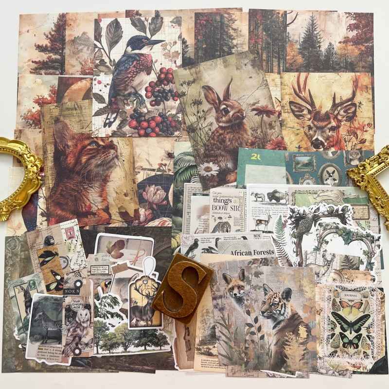 Forest Animal Wonder Pack