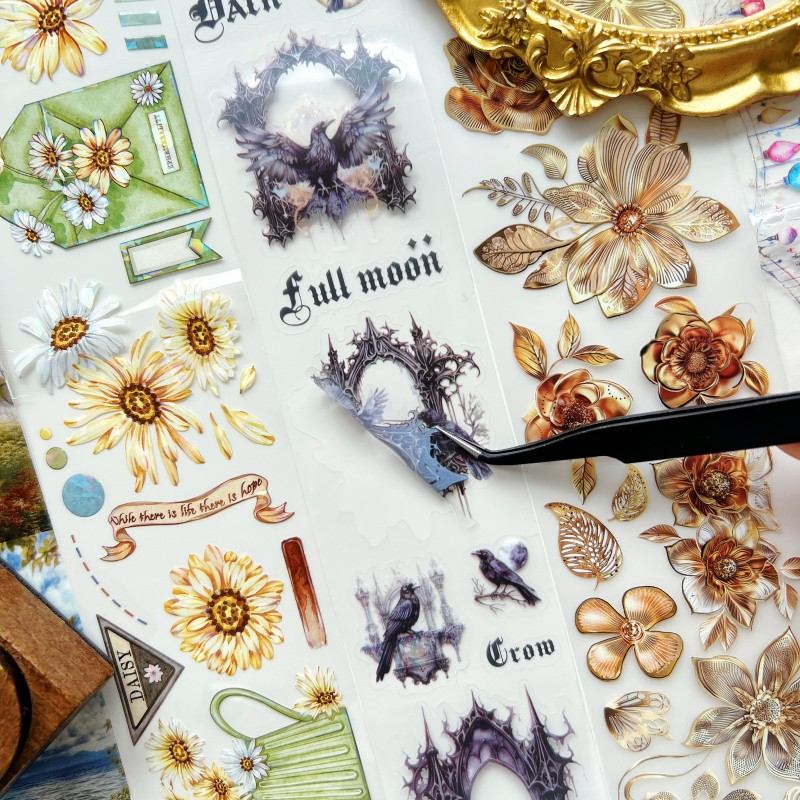 Popular Picks Tape Pack