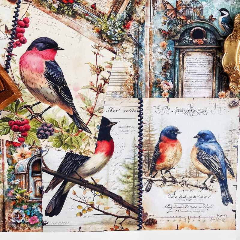 Caged Bird Collage Paper 16Sheets