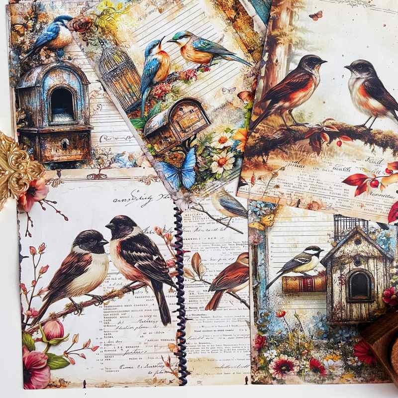 Caged Bird Collage Paper 16Sheets